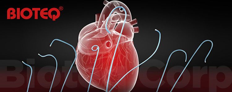 Catéteres Diagnóstico Bioteq - World Medica | Suministro de ...